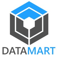 Datamart Solutions logo